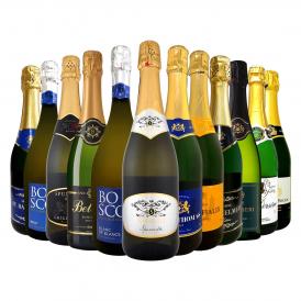スパークリング sparkling ワイン wine セット set 第110弾 選び抜いた ハイクオリティ 泡 ばかり 12本 辛口 スパークリング sparkling ワイン wine セット s