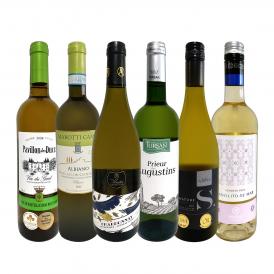  第45弾 当店 極 厳選 白ワイン wine 好きならこのセット set 格別の美味しさ 華やかな上質白ワイン wine を存分に味わう贅沢白ワイン wine 6本セット set 