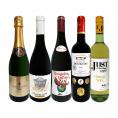  新酒先行予約11月21日以降お届け ヌーヴォー 最高金賞 ボジョレー入り ボジョレー・ヌーヴォーお祝い5本セット set 