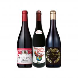 ボジョレー・ヌーヴォー 新酒先行予約11月21日以降お届け 金賞三昧 ヌーヴォーコンクール 最高金賞獲得 ＆格上ヴィラージュだけを選び抜いた本格ヌーヴォー3本 