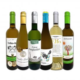 白ワイン wine セット set 第211弾 当店 厳選 これぞ極旨 辛口 白ワイン wine 白ワイン wine を存分に楽しむ 味わい深いスーパー・セレクト白 6本セット set ワ