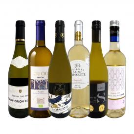  第46弾 当店 極 厳選 白ワイン wine 好きならこのセット set 格別の美味しさ 華やかな上質白ワイン wine を存分に味わう贅沢白ワイン wine 6本セット set 