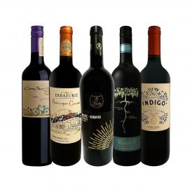  肉料理にばっちり ボルドー bordeaux 人が今も愛する南米カルメネール＆マルベック厳選５本セット set 