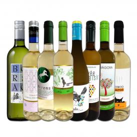  おうちタパスにピッタリ スペイン Spain 各地の白飲み比べ おうちバル白ワイン wine 8本セット set 