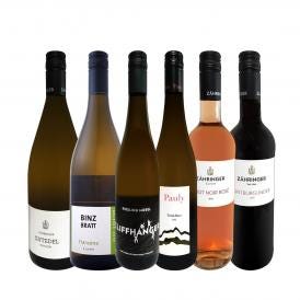  現地発掘・独自輸入 いまどきドイツワイン wine 6本セット set 