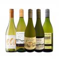 デイリー・シャルドネ chardonnay の決定版 向上目覚しいチリのシャルドネ chardonnay ５本セット set 