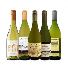  デイリー・シャルドネ chardonnay の決定版 向上目覚しいチリのシャルドネ chardonnay ５本セット set 