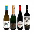  華麗なる新時代スペイン Spain ワイン wine 4本セット set 
