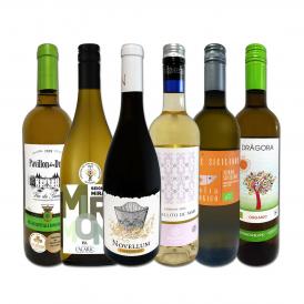 白ワイン wine セット set 第212弾 当店 厳選 これぞ極旨 辛口 白ワイン wine 白ワイン wine を存分に楽しむ 味わい深いスーパー・セレクト白 6本セット set ワ