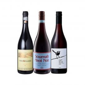 赤ワイン wine セット set ブルゴーニュ bourgogne 好きにこそ飲んでほしい 世界 の ピノ・ノワール 3本セット set ワイン wine ワイン wine セット set 赤ワイ