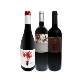  凄腕醸造家トニ・コカのコク旨濃厚フルボディ赤ワイン wine 3本セット set 