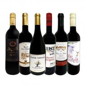赤ワイン wine セット set 第204弾 採算度外視 の謝恩企画 当店厳選 特大感謝の 大満足 赤ワイン wine 6本セット set 赤 ワイン wine セット set ワイン wine  