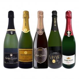  すべて本格伝統製法カバ すべて辛口スパークリング sparkling ワイン wine 5本セット set 
