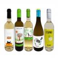  目からウロコ スペイン Spain 白ワイン wine の いま は超激旨 スペイン Spain おうちバル白ワイン wine 5本セット set 