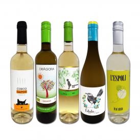  目からウロコ スペイン Spain 白ワイン wine の いま は超激旨 スペイン Spain おうちバル白ワイン wine 5本セット set 
