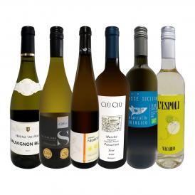  第48弾 当店 極 厳選 白ワイン wine 好きならこのセット set 格別の美味しさ 華やかな上質白ワイン wine を存分に味わう贅沢白ワイン wine 6本セット set 
