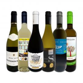 白ワイン wine セット set 第214弾 当店 厳選 これぞ極旨 辛口 白ワイン wine 白ワイン wine を存分に楽しむ 味わい深いスーパー・セレクト白 6本セット set ワ