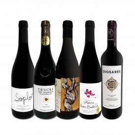  すべてパーカー parker 91点以上 上級フルボディ赤ワイン wine 5本セット set 