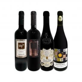  アッポローニオのディヴォート入り ワンランク上の濃厚極旨イタリア Italy 赤ワイン wine 4本セット set 