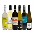  第49弾 当店 極 厳選 白ワイン wine 好きならこのセット set 格別の美味しさ 華やかな上質白ワイン wine を存分に味わう贅沢白ワイン wine 6本セット set 