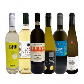  第49弾 当店 極 厳選 白ワイン wine 好きならこのセット set 格別の美味しさ 華やかな上質白ワイン wine を存分に味わう贅沢白ワイン wine 6本セット set 