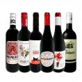 スペイン Spain 全土の地ワイン wine 満喫 スペイン Spain おうちバル赤ワイン wine 6本セット set 
