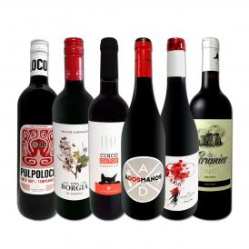  スペイン Spain 全土の地ワイン wine 満喫 スペイン Spain おうちバル赤ワイン wine 6本セット set 