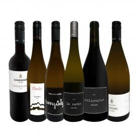  当店独自輸入 いまどきドイツワイン wine 白赤6本セット set 