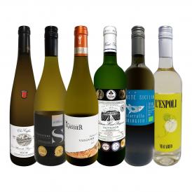  第50弾 当店 極 厳選 白ワイン wine 好きならこのセット set 格別の美味しさ 華やかな上質白ワイン wine を存分に味わう贅沢白ワイン wine 6本セット set 