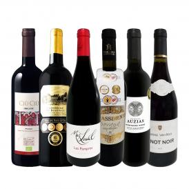  第37弾 当店 極 厳選 赤ワイン wine 好きならこのセット set 格別の美味しさ コク旨上質赤ワイン wine を存分に味わう贅沢赤ワイン wine 6本セット set 