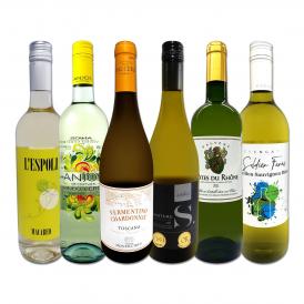 白ワイン wine セット set 第216弾 当店 厳選 これぞ極旨 辛口 白ワイン wine 白ワイン wine を存分に楽しむ 味わい深いスーパー・セレクト白 6本セット set ワ