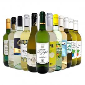  第83弾 1本あたり880円 税込 採算度外視の大感謝 厳選白ワイン wine 12本セット set 