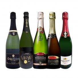  ぜんぶ瓶内2次発酵の伝統製法 ケタ違いの旨さ これぞ格上 高級スパークリング sparkling 5本セット set 