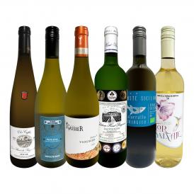 第51弾 当店 極 厳選 白ワイン wine 好きならこのセット set 格別の美味しさ 華やかな上質白ワイン wine を存分に味わう贅沢白ワイン wine 6本セット set 