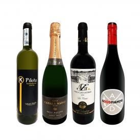  華麗なる新時代スペイン Spain ワイン wine 4本セット set 