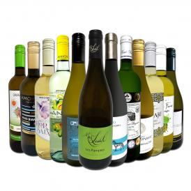  第88弾 当店オススメばかりを厳選したちょっといい白ワイン wine 12本セット set 