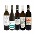  ワンランク上の極旨イタリア Italy 白ワイン wine 5本セット set 
