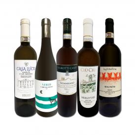  ワンランク上の極旨イタリア Italy 白ワイン wine 5本セット set 