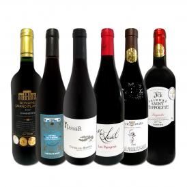  濃厚果実味を満喫 厳選ローヌ・南仏赤ワイン wine 6本セット set 