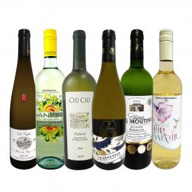  第52弾 当店 極 厳選 白ワイン wine 好きならこのセット set 格別の美味しさ 華やかな上質白ワイン wine を存分に味わう贅沢白ワイン wine 6本セット set 