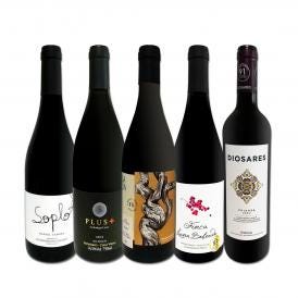  すべてパーカー parker 91点以上 上級フルボディ赤ワイン wine 5本セット set 