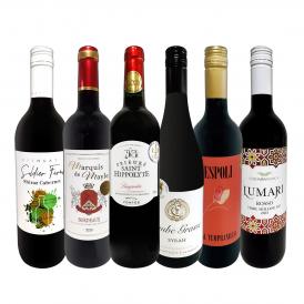 赤ワイン wine セット set 第209弾 採算度外視 の謝恩企画 当店厳選 特大感謝の 大満足 赤ワイン wine 6本セット set 赤 ワイン wine セット set ワイン wine  