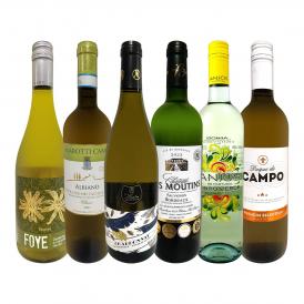  第53弾 当店 極 厳選 白ワイン wine 好きならこのセット set 格別の美味しさ 華やかな上質白ワイン wine を存分に味わう贅沢白ワイン wine 6本セット set 
