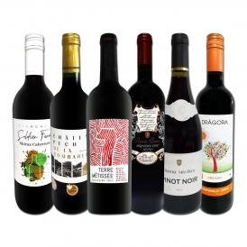 赤ワイン wine セット set 第166弾 当店 厳選 これぞ極旨 赤ワイン wine 大満足 充実の飲み応え 贅沢 なスーパー・セレクト 赤ワイン wine 6本セット set 赤 ワ