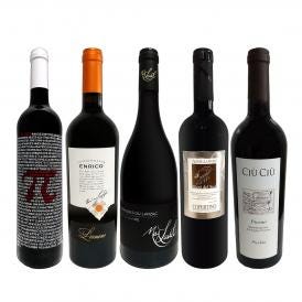  当店ベストセラーばかり 赤ワイン wine だけ リッチな贅沢ワイン wine 5本セット set 