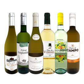  第54弾 当店 極 厳選 白ワイン wine 好きならこのセット set 格別の美味しさ 華やかな上質白ワイン wine を存分に味わう贅沢白ワイン wine 6本セット set 