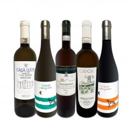  ワンランク上の極旨イタリア Italy 白ワイン wine 5本セット set 
