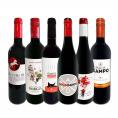  スペイン Spain 全土の地ワイン wine 満喫 スペイン Spain おうちバル赤ワイン wine 6本セット set 