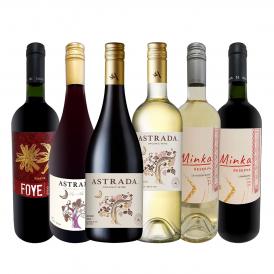  超お買い得 オーガニック・ピノ＆ソーヴィニョンが入った 当店独自輸入のチリワイン wine ６本セット set 