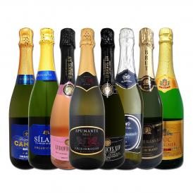  端数在庫一掃 スパークリング sparkling ワイン wine 8本セット set 